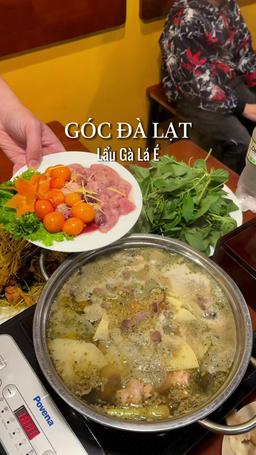 TÔA - ỐC NHỒI THỊT